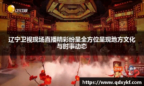 辽宁卫视现场直播精彩纷呈全方位呈现地方文化与时事动态