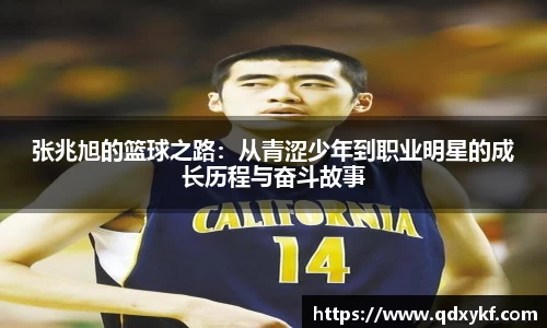 张兆旭的篮球之路：从青涩少年到职业明星的成长历程与奋斗故事