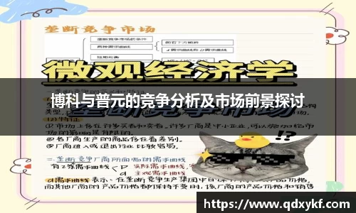 博科与普元的竞争分析及市场前景探讨